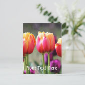 Falln Tulips Aflame Briefkaart (Staand voorkant)