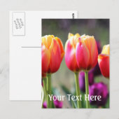 Falln Tulips Aflame Briefkaart (Voorkant / Achterkant)