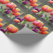 Falln Tulips Aflame Cadeaupapier (Hoek)