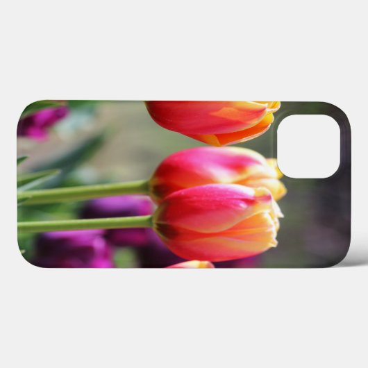 Falln Tulips Aflame Case-Mate iPhone Case (Achterkant (horizontaal))