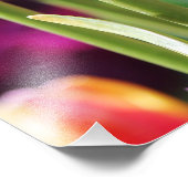 Falln Tulips Aflame Foto Afdruk (Hoek)
