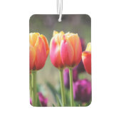 Falln Tulips Aflame Luchtverfrisser (Achterkant)