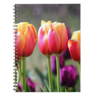 Falln Tulips Aflame Notitieboek