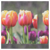 Falln Tulips Aflame Stof (Close Up)