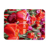 Falln Warm Tulips Magneet (Horizontaal)