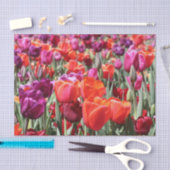 Falln Warm Tulips Tissuepapier (Craft)