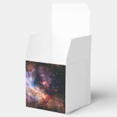 Falln Westerlund Star Field Bedankdoosjes (Geopend)