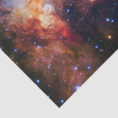 Falln Westerlund Star Field Tissuepapier (Detail)