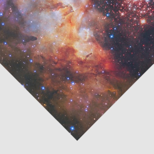 Falln Westerlund Star Field Tissuepapier (Detail)