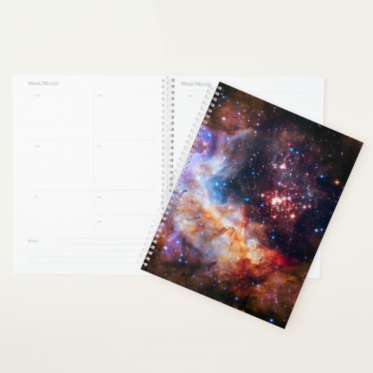 Falln Westerlund Starfield Planner (Display)