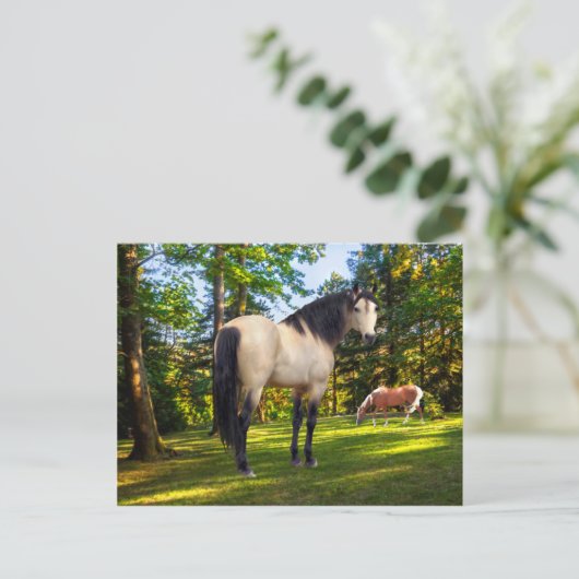 "Fallon"  Briefkaart (Staand voorkant)