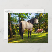 "Fallon"  Briefkaart (Voorkant / Achterkant)