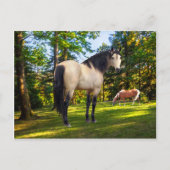 "Fallon"  Briefkaart (Voorkant)