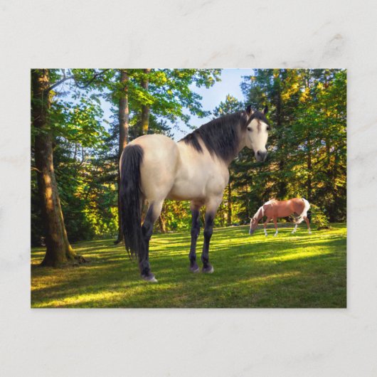 "Fallon"  Briefkaart (Voorkant)