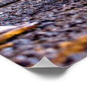 Fallout Poster (Hoek)