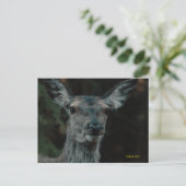 Fallow Deer Briefkaart (Staand voorkant)