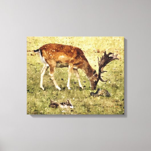 FALLOW DEER CANVAS AFDRUK (Voorkant)