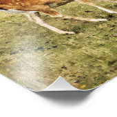 FALLOW DEER FOTO AFDRUK (Hoek)