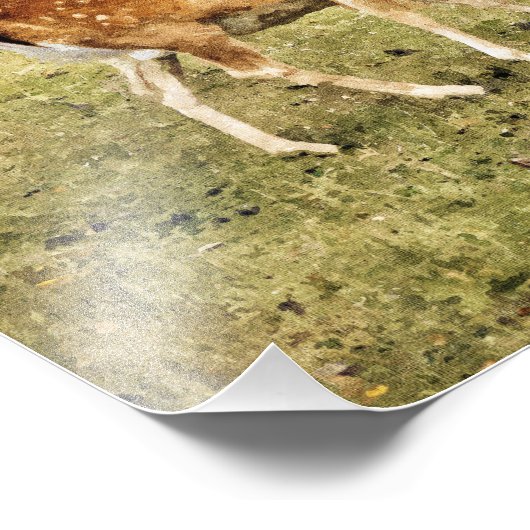 FALLOW DEER FOTO AFDRUK (Hoek)