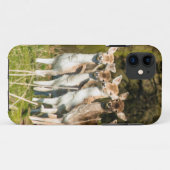 Fallow Deer in Holkham park in Norfolk Engeland Ve Case-Mate iPhone Case (Achterkant (horizontaal))