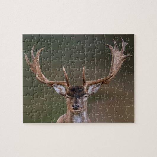Fallow Deer is je aan het beoordelen. Legpuzzel (Horizontaal)