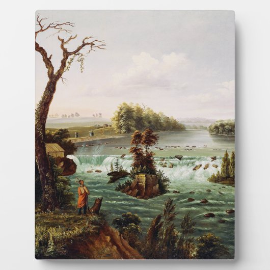 Falls of Saint Anthony by Henry Lewis Fotoplaat (Voorkant)