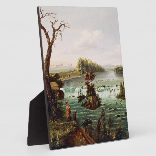 Falls of Saint Anthony by Henry Lewis Fotoplaat (Zijkant)