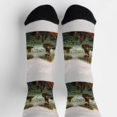 Falls of Saint Anthony by Henry Lewis Sokken (Top)