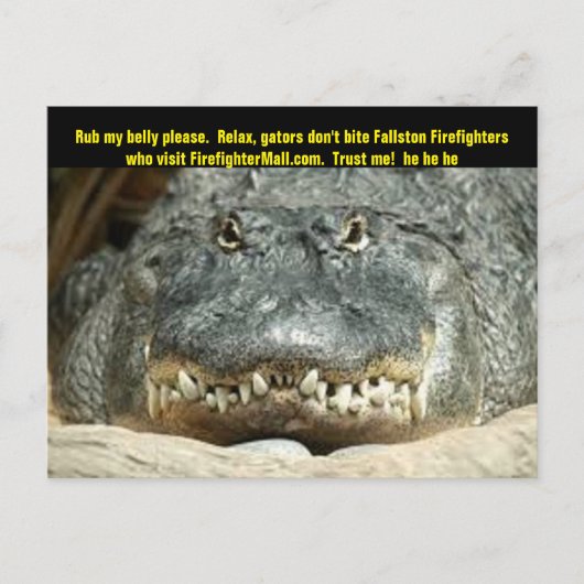 Fallston Brandweerman Briefkaart (Voorkant)