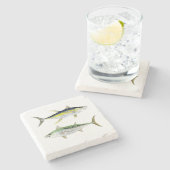 False Albacore en geelvintonijn Onderzetter (Zijkant)