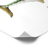 False Albacore Tuna Poster (Hoek)