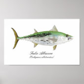 False Albacore Tuna Poster (Voorkant)