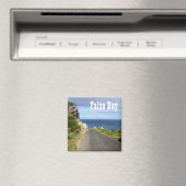 False Bay, Capetown, Zuid-Afrika Magneet (Insitu (Vaatwasser))