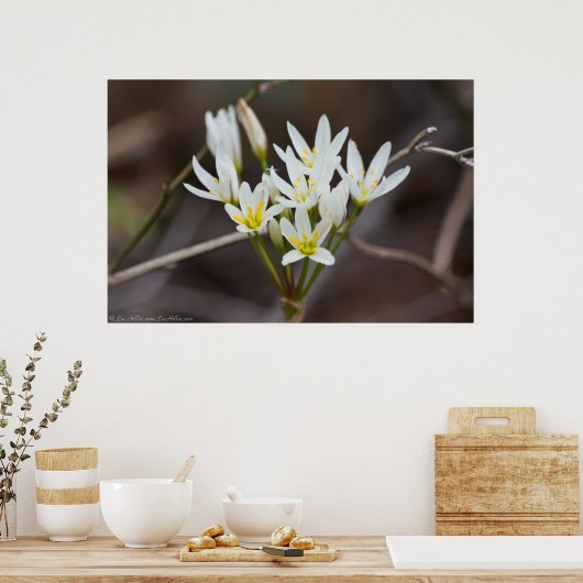 False Garlic Bouquet Wildflower Poster (Keuken)