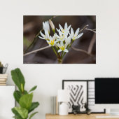 False Garlic Bouquet Wildflower Poster (Thuiskantoor)