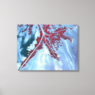 False kleurensatelliet canvas afdruk