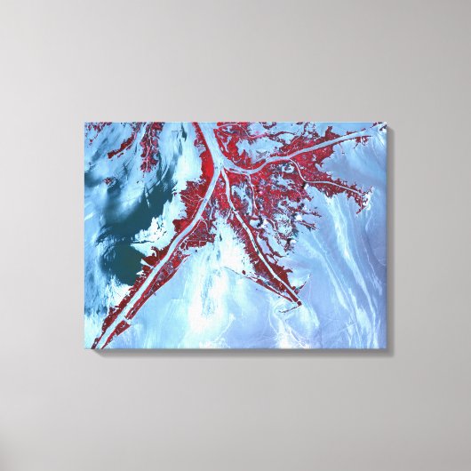 False kleurensatelliet canvas afdruk (Voorkant)