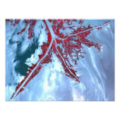 False kleurensatelliet foto afdruk (Voorkant)