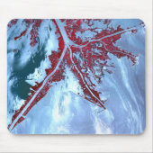 False kleurensatelliet muismat (Voorkant)