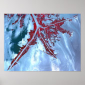 False kleurensatelliet poster (Voorkant)