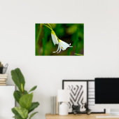 False KnoflookPoster Poster (Thuiskantoor)