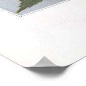 False Nettle - Boehmeria cylindrica Poster (Hoek)