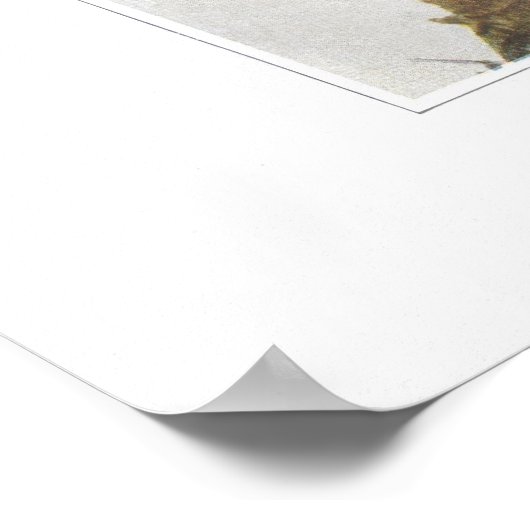 False of Wild Lily van de Valley Poster (Hoek)