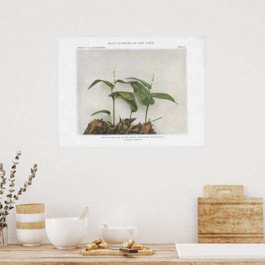 False of Wild Lily van de Valley Poster (Keuken)