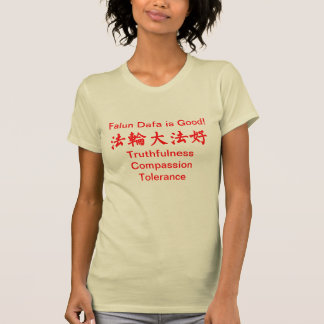 Falun Dafa is een goed zonnig T-shirt