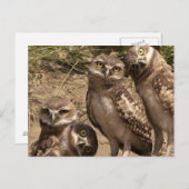 fam uil briefkaart (Voorkant / Achterkant)