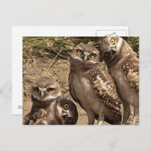 fam uil briefkaart (Voorkant / Achterkant)