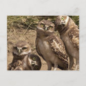 fam uil briefkaart (Voorkant)