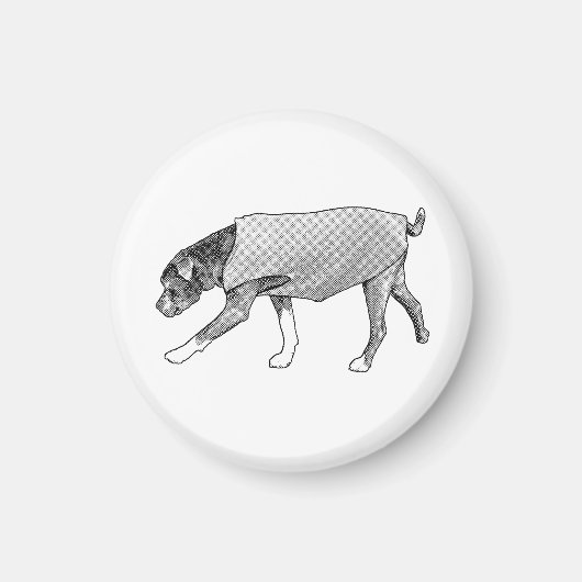 Familiar Paths Remembered Magneet (Voorkant)