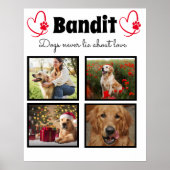 Familie 4 op foto aangepast hondencollage poster (Voorkant)